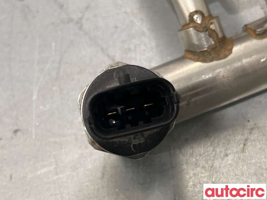 Dyseskinne (fuelrail) til Ford Fiesta 2013-2017 (Type VI, Fase 2)  (FORD|1798431|0261555179|DM5G-9H487-AB)