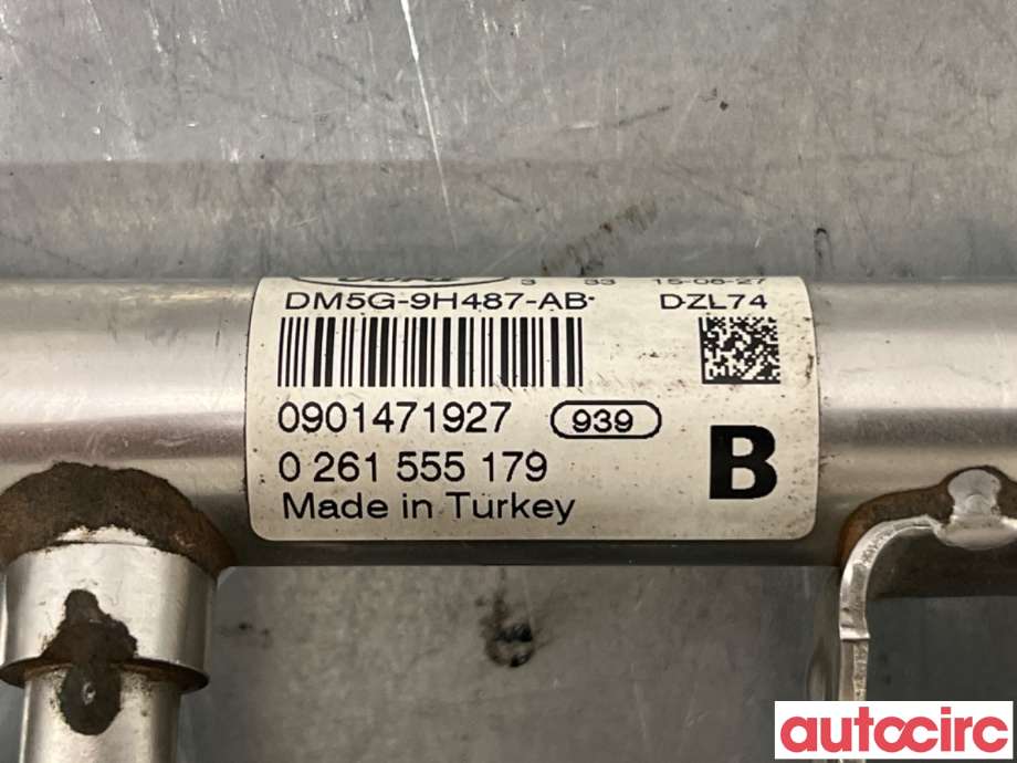 Dyseskinne (fuelrail) til Ford Fiesta 2013-2017 (Type VI, Fase 2)  (FORD|1798431|0261555179|DM5G-9H487-AB)