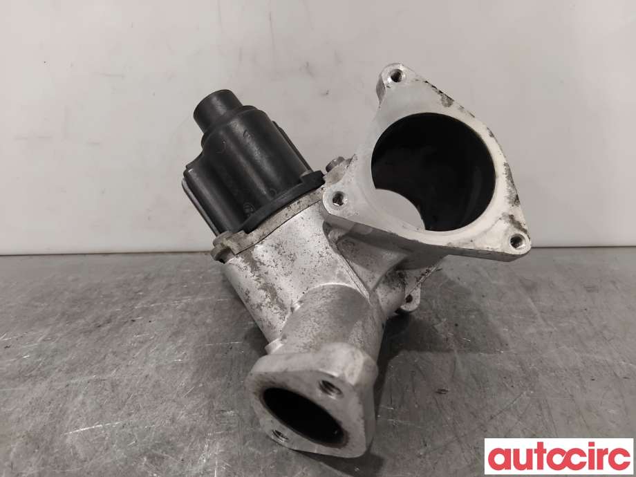 EGR-ventil til VW Caddy 2004-2010 (Type III, Fase 1)  (VOLKSWAGEN|03G131501N|700678040)