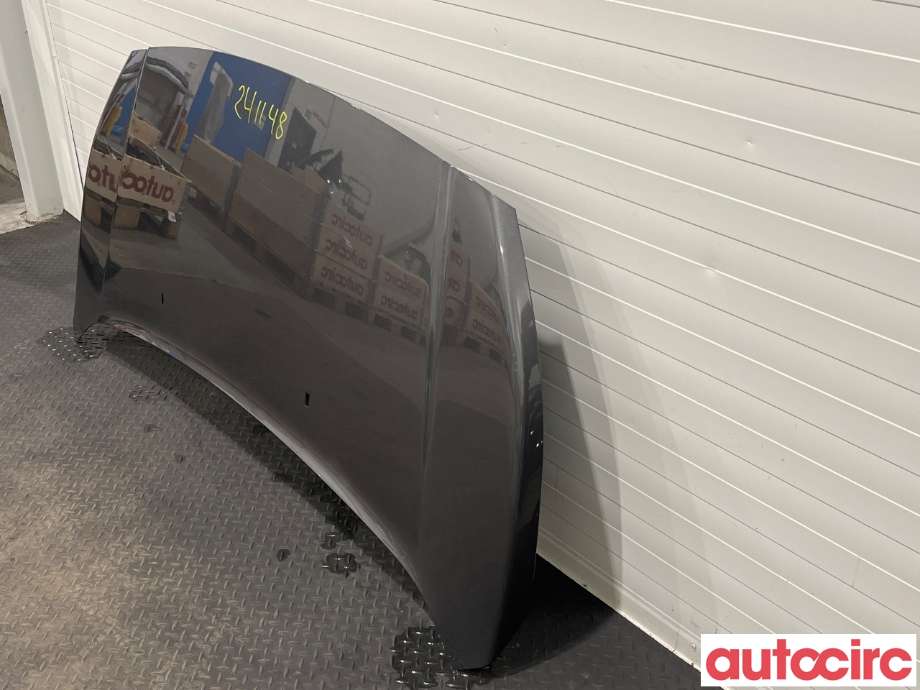 Panser til Ford Transit Connect 2013-2018 Type II, Fase 1  (FORD|1808950|PDT11-V16610-AA)