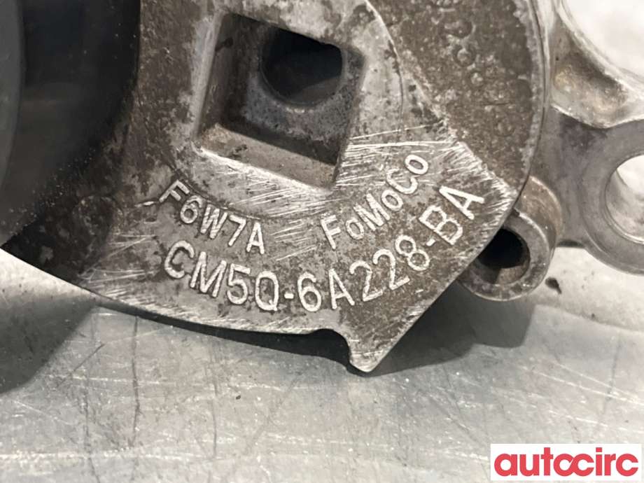 Strammehjul, multireim til Ford Fiesta 2017-->> (Type VII)  (FORD|2431347||CM5Q-6A228-BA)