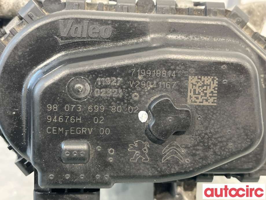 EGR-ventil til Peugeot 308 2013-2021 (Type II)  (PEUGEOT|1679828780|V29041167|9807369980)