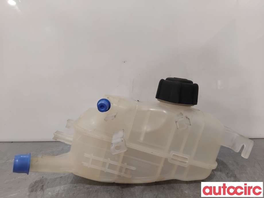 Ekspansjonstank til Renault Scenic 2009-2016 (Type III)  (RENAULT|217100005R|)
