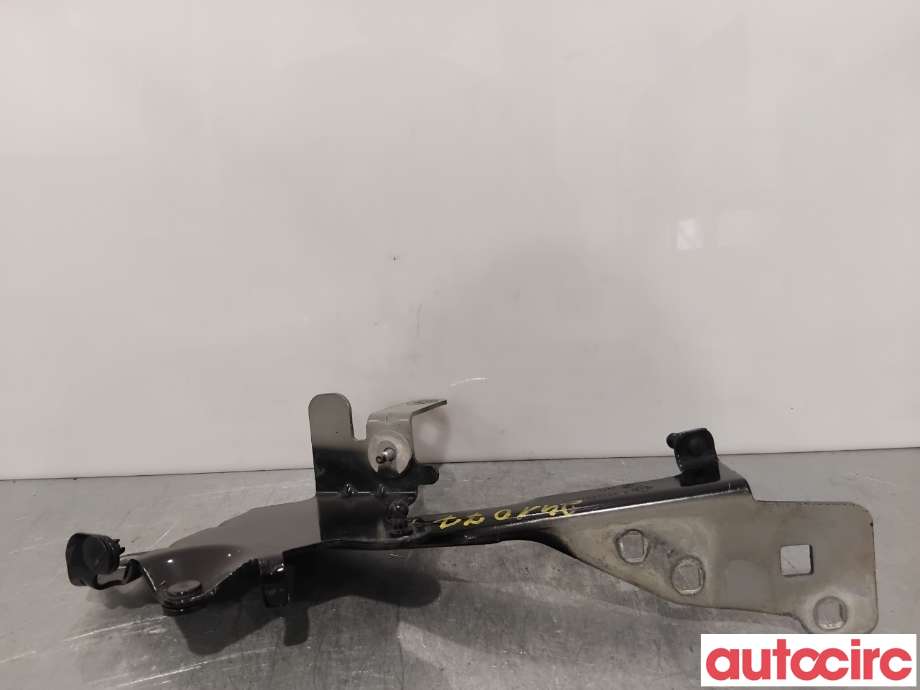Panserhengsler til Renault Scenic 2009-2016 (Type III) (RENAULT|654012134R||654010004R)
