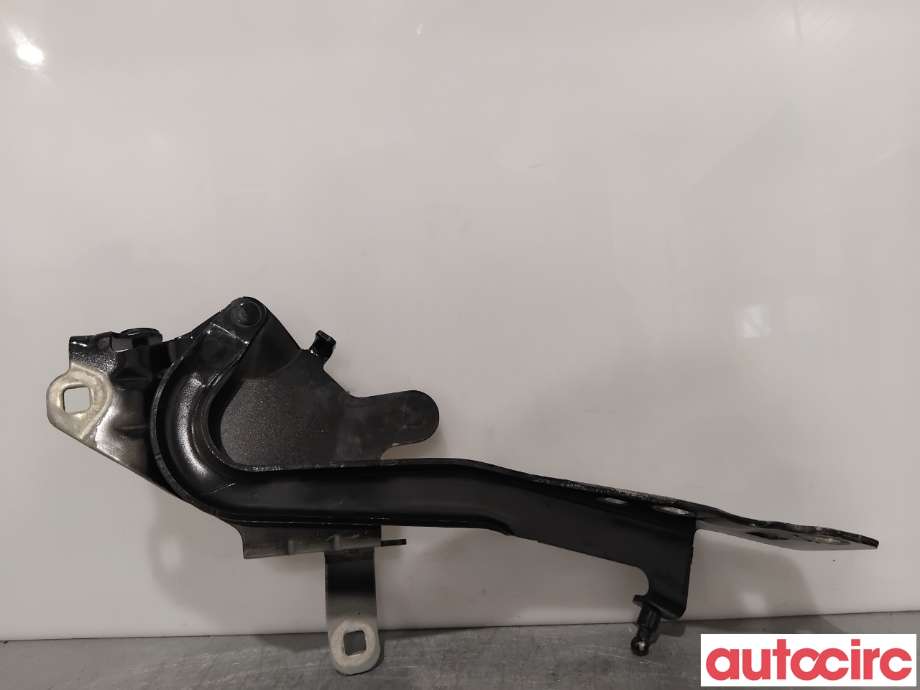 Panserhengsler til Renault Scenic 2009-2016 (Type III) (RENAULT|654012134R||654010004R)