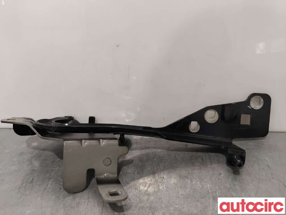 Panserhengsler til Renault Scenic 2009-2016 (Type III) (RENAULT|654012134R||654010004R)