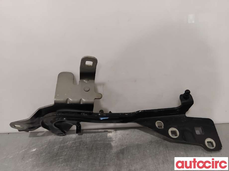 Panserhengsler til Renault Scenic 2009-2016 (Type III)  (RENAULT|654006104R||654000004R)