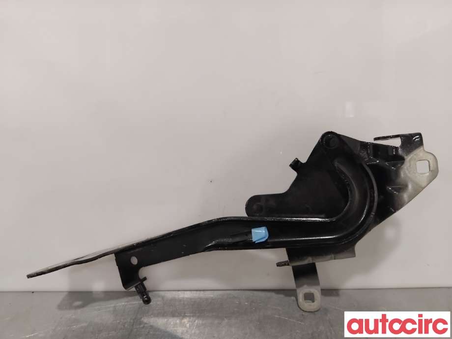 Panserhengsler til Renault Scenic 2009-2016 (Type III)  (RENAULT|654006104R||654000004R)