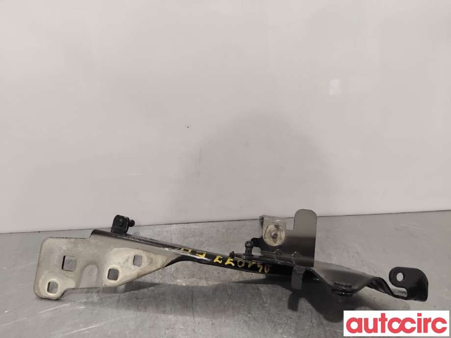 Panserhengsler til Renault Scenic 2009-2016 (Type III)  (RENAULT|654006104R||654000004R)