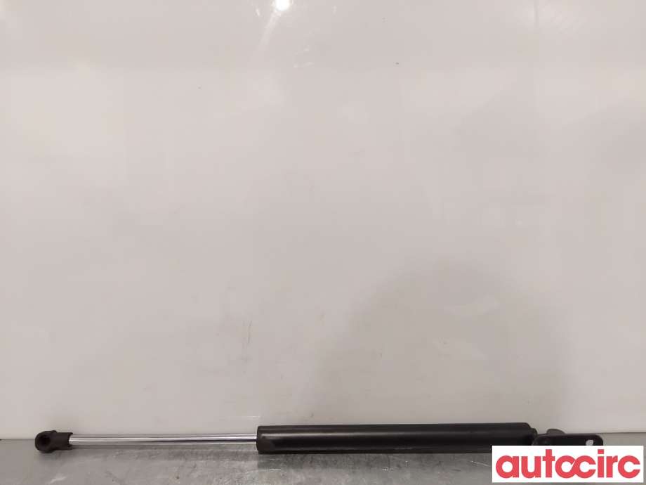 Baklukedemper til Citroën C4, Aircross 2012-2017  (CITROEN|1607549480|17C05AB2|1687264580)