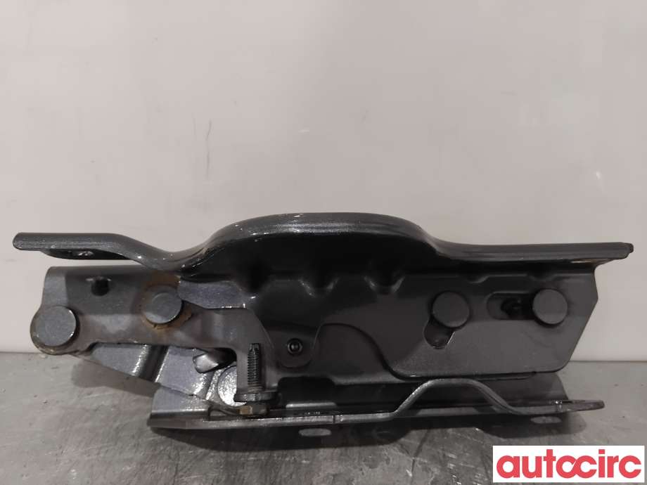 Panserhengsler til Tesla Model S 2013-2016 (Fase 1)  (TESLA|1029284-00-C|)