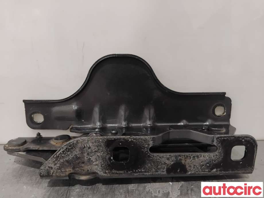 Panserhengsler til Tesla Model S 2013-2016 (Fase 1)  (TESLA|1029284-00-C|)