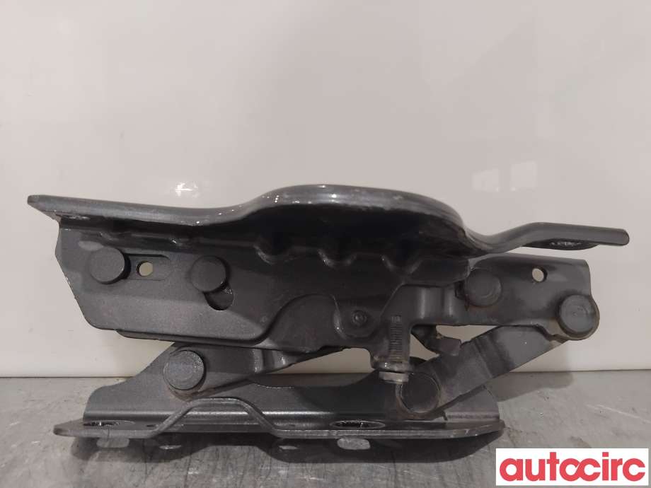 Panserhengsler til Tesla Model S 2013-2016 (Fase 1)  (TESLA|1029285-00-C|)