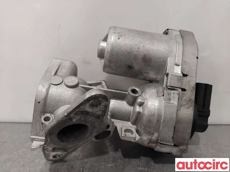 EGR-ventil til Citroën Jumper 2007-2013 (Type III, Fase 1)  (CITROEN|1638155080|R1621|)