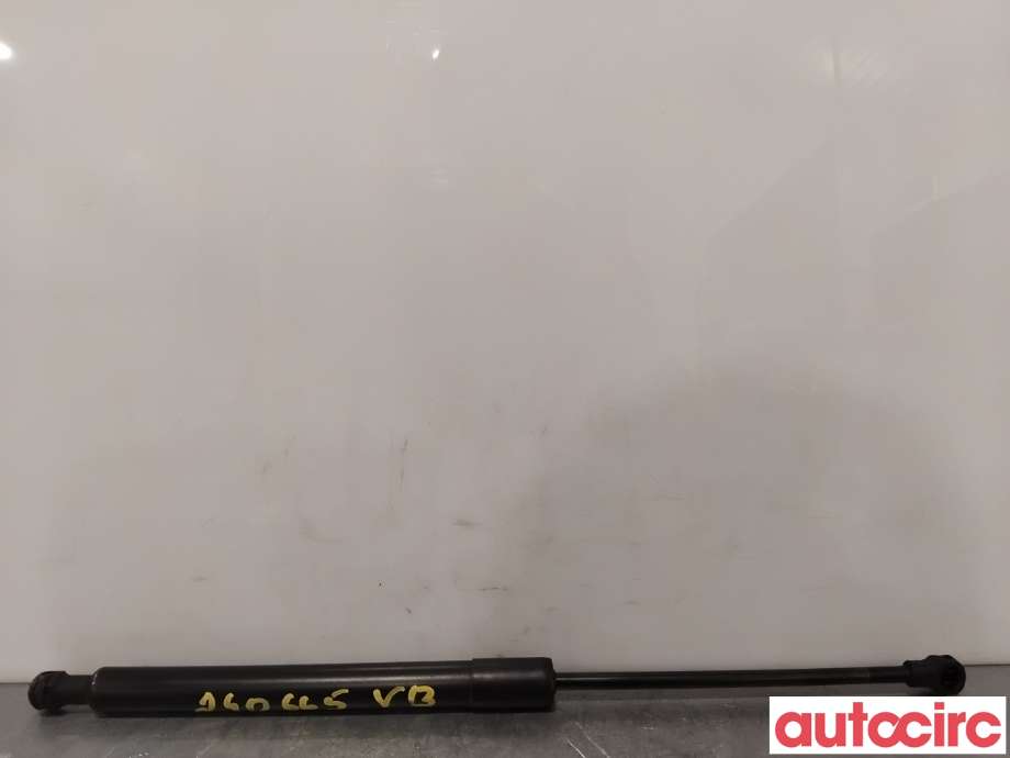 Baklukedemper til Citroën DS3 2010-2019  (CITROEN|8731V4||9687550980)