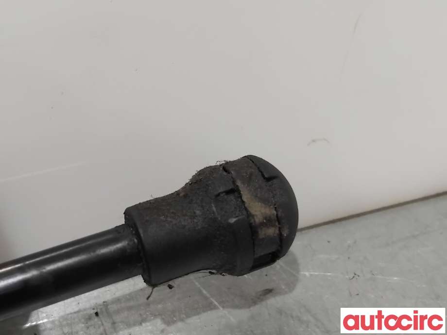 Baklukedemper til Citroën DS3 2010-2019  (CITROEN|8731V4||9687550980)