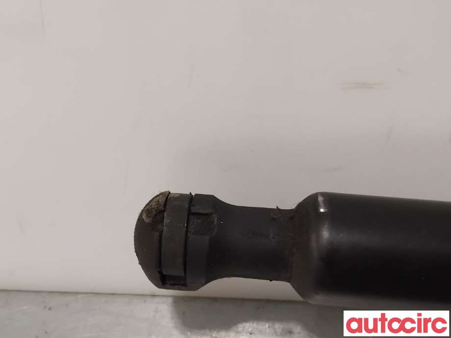 Baklukedemper til Citroën DS3 2010-2019  (CITROEN|8731V4||9687550980)