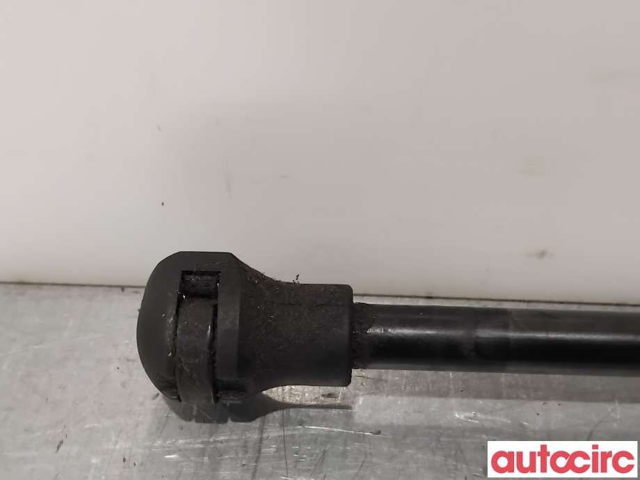 Baklukedemper til Citroën DS3 2010-2019  (CITROEN|8731V4||9687550980)