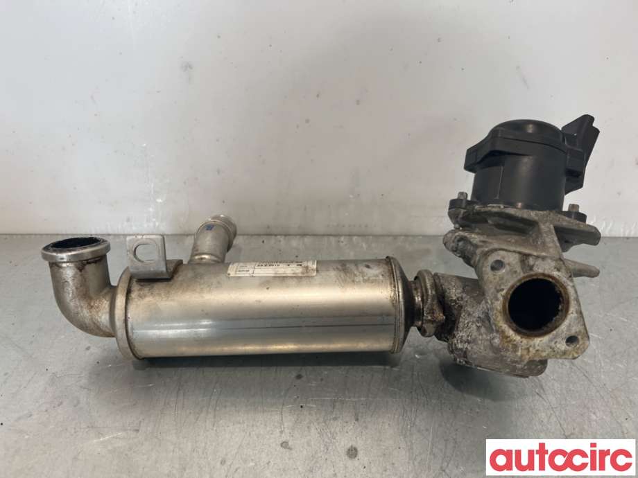 EGR-ventil til Ford Focus 2008-2010 (Type II, Fase 2)  (FORD|2002309||9672880080)