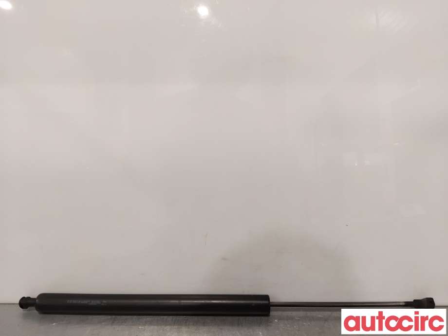 Baklukedemper til Peugeot 207, 2006-2012  (PEUGEOT|8731L7)