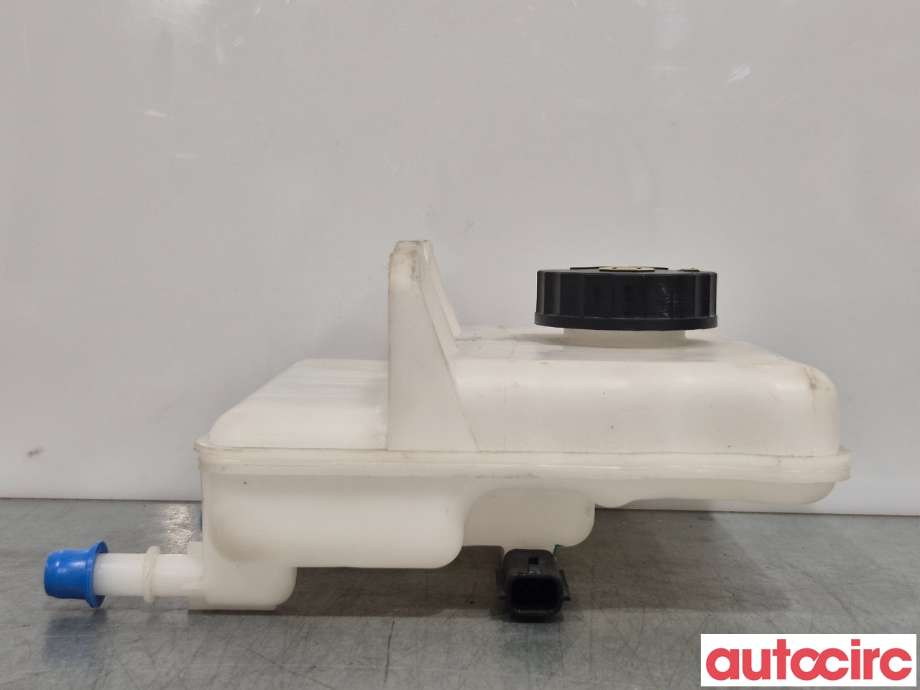 Diverse deler til Renault Zoe 2013-2019 (Fase 1)  (RENAULT|460907290R|)