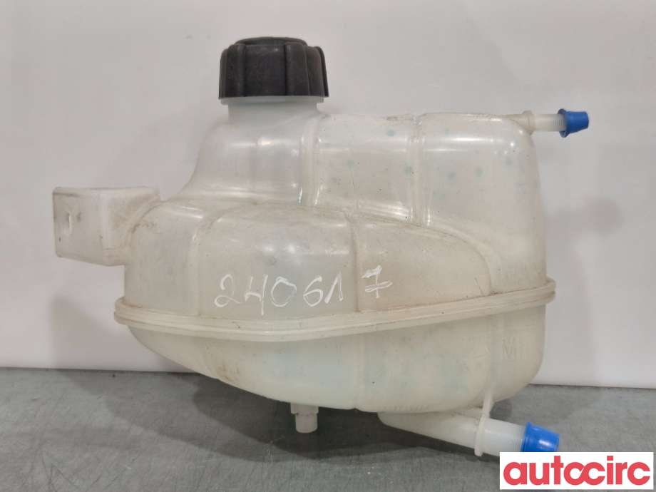 Ekspansjonstank til Nissan Qashqai 2014-2021 (Type II)  (NISSAN|217114EA0A|)