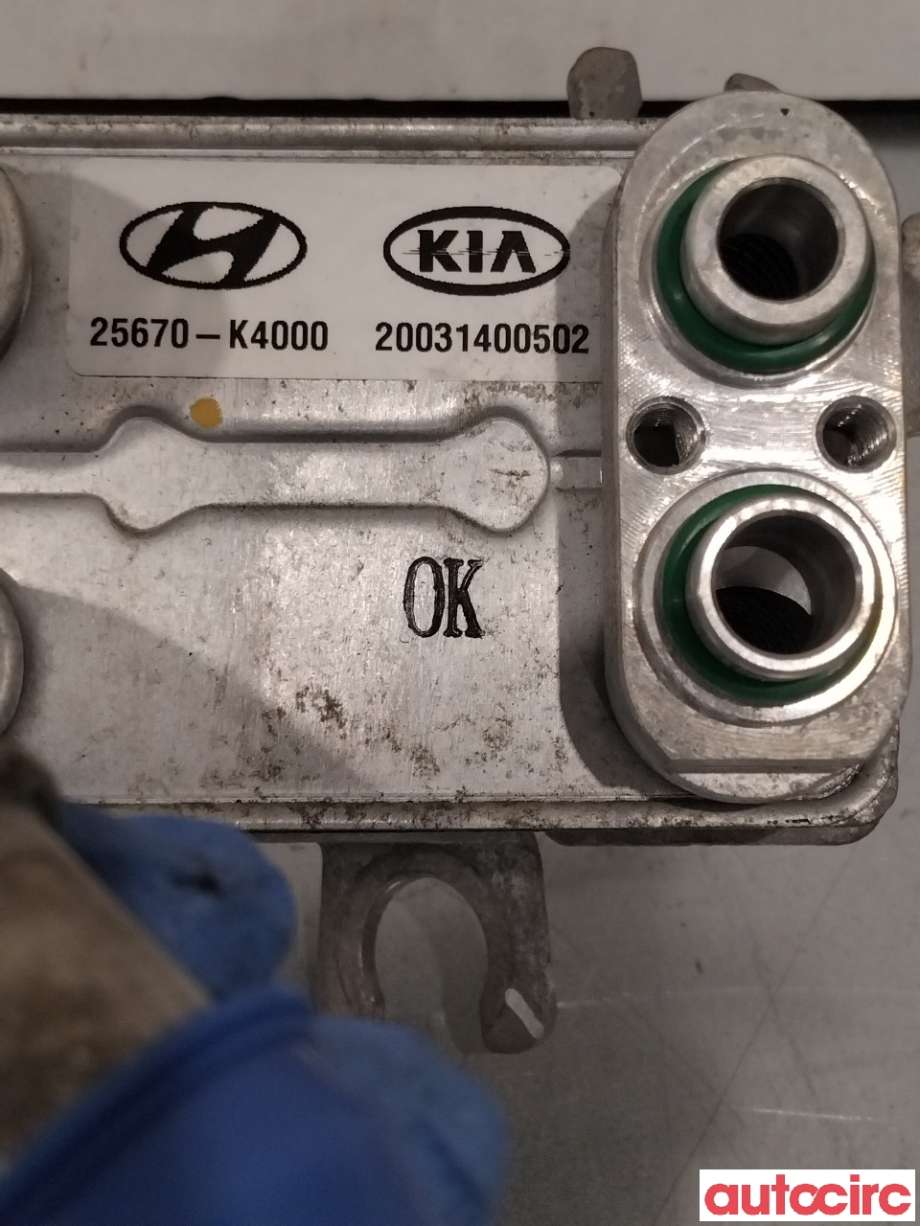 Varmeapparat diverse til Hyundai Kona 2017-2021 (Type I, Fase 1)  (HYUNDAI|25670K4000||25670-K4000)