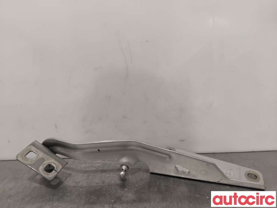 Panserhengsler til Renault Kangoo 2008-2021 (Type II)  (RENAULT|654013136R|A4158800028|654018491R)