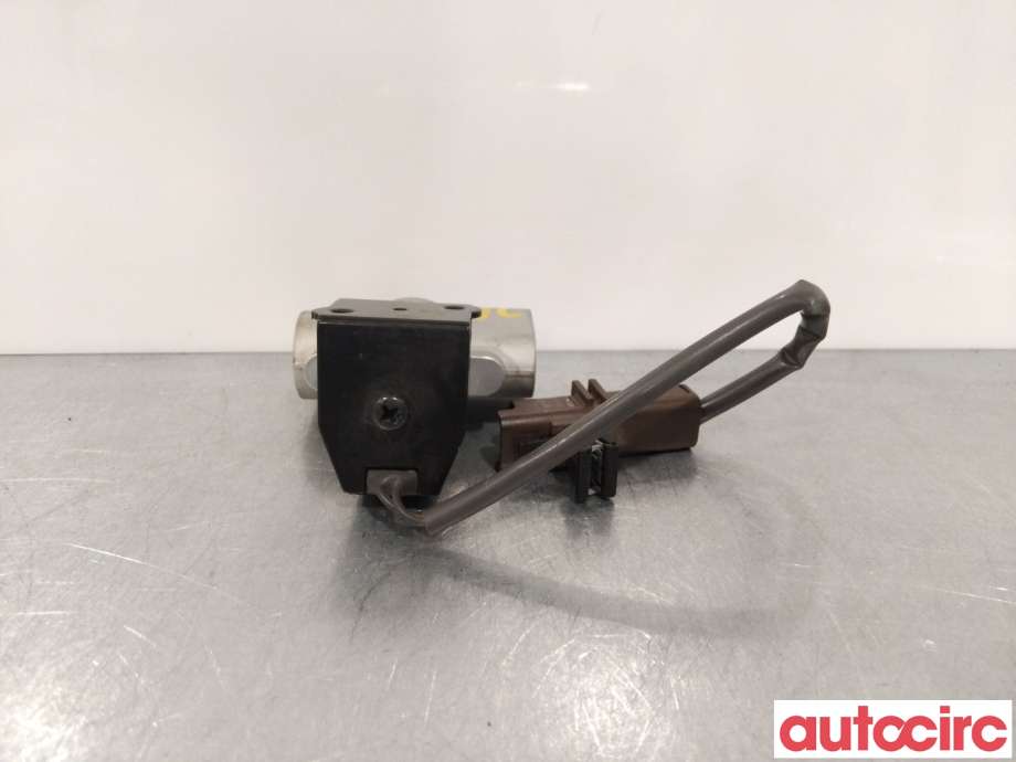 Diverse deler til Renault Zoe 2013-2019 (Fase 1)  (RENAULT|924876913R|443310-1171)