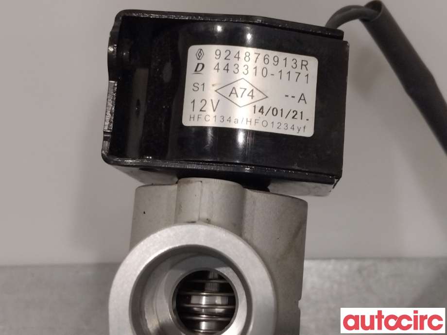 Diverse deler til Renault Zoe 2013-2019 (Fase 1)  (RENAULT|924876913R|443310-1171)