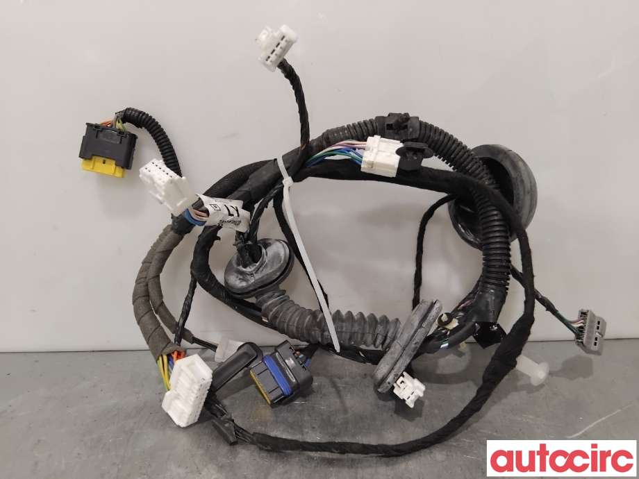Ledningsnett til Nissan Qashqai, 2010-2014 (Type I, Fase 2)  (NISSAN|24124JD10D)