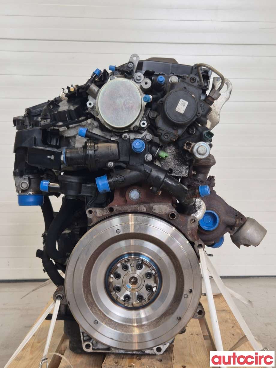 Motor diesel til Ford Focus, 2011-2014 (Type III, Fase 1)  (FORD|1838469)