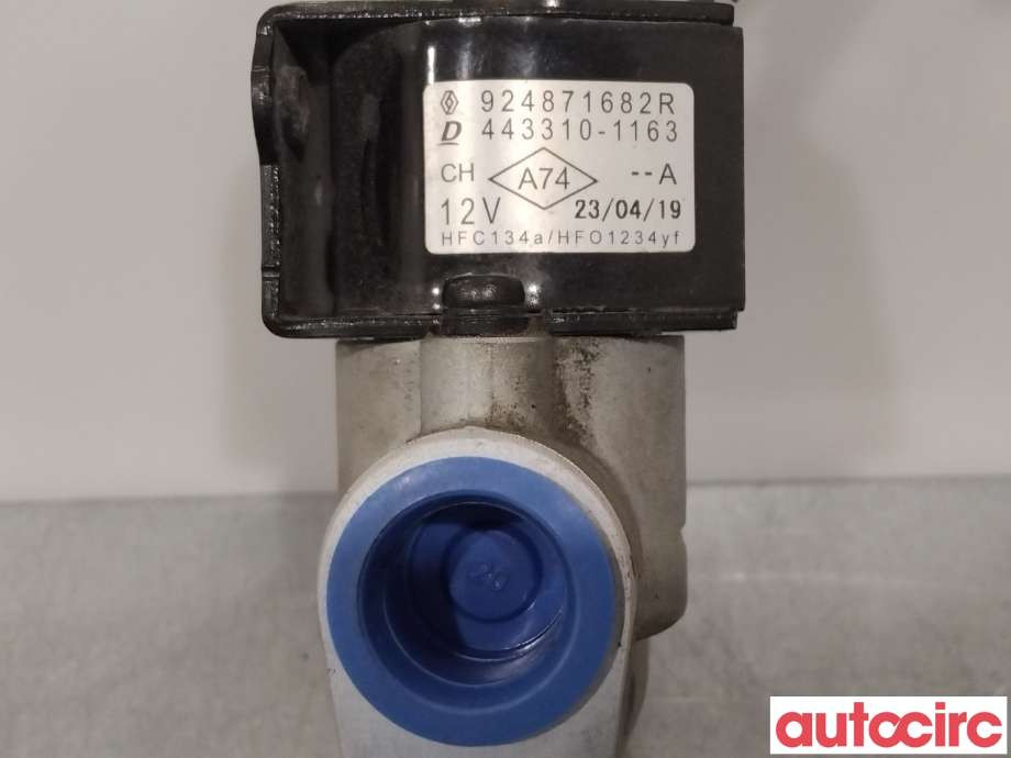 Diverse deler til Renault Zoe 2013-2019 (Fase 1)  (RENAULT|924871682R|443310-1163)