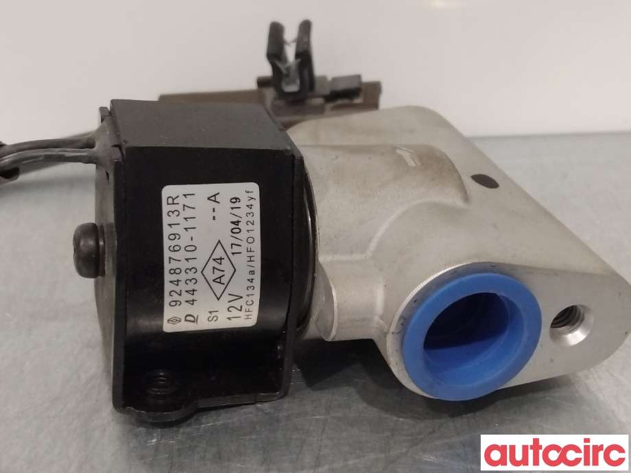 Diverse deler til Renault Zoe 2013-2019 (Fase 1)  (RENAULT|924876913R|443310-1171)