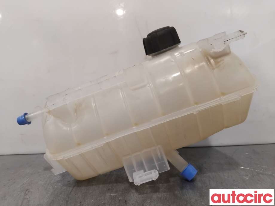 Ekspansjonstank til Renault Kangoo 2008-2021 (Type II)  (RENAULT|7701478318||8200455786)