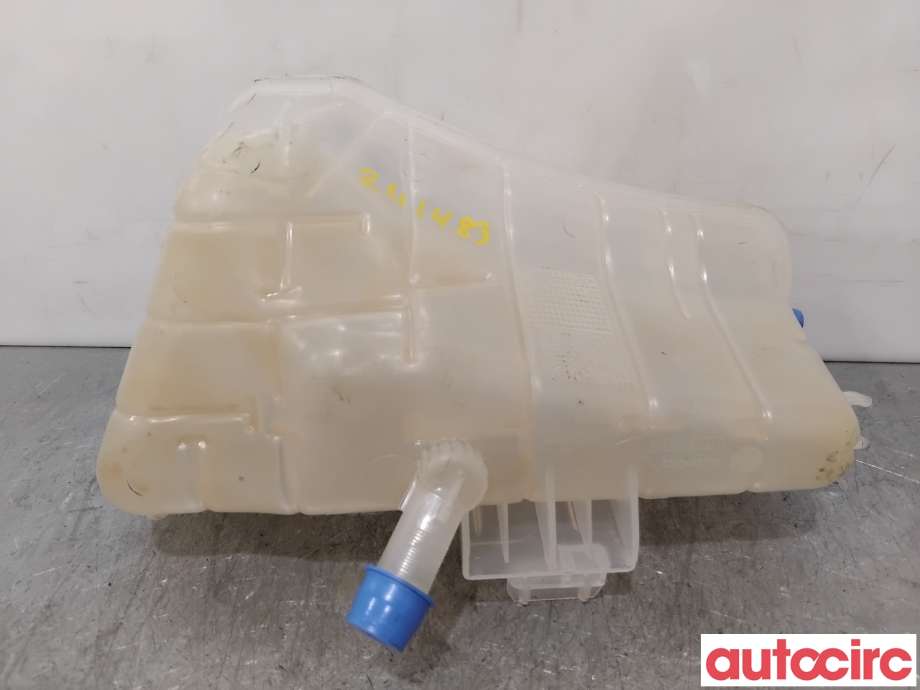 Ekspansjonstank til Renault Kangoo 2008-2021 (Type II)  (RENAULT|7701478318||8200455786)