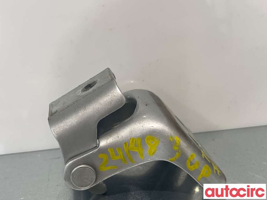 Hengsler til Renault Kangoo 2008-2021 (Type II)  (RENAULT|804010770R)