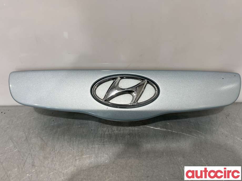 Bakluke/bakdør håndtak til Hyundai Getz 2002-2009 (HYUNDAI|873101C000||87310-1C000)