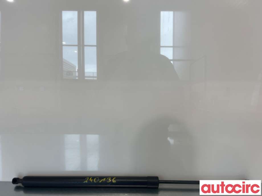 Baklukedemper til Peugeot Expert, 2016-->> (Type III)  (PEUGEOT|9813193480)