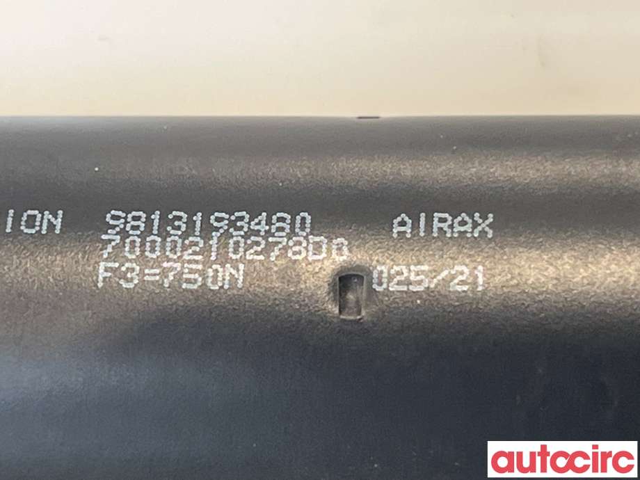 Baklukedemper til Peugeot Expert 2016-->> (Type III)  (PEUGEOT|9813193480)