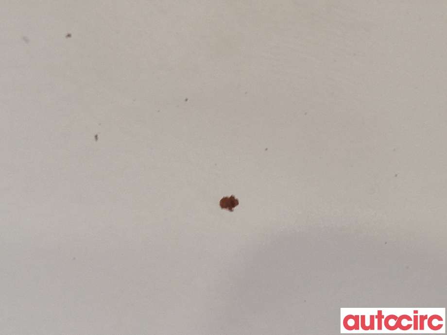 Spoiler bakluke til Mitsubishi ASX 2010-2019  (MITSUBISHI|6515A383WC|)