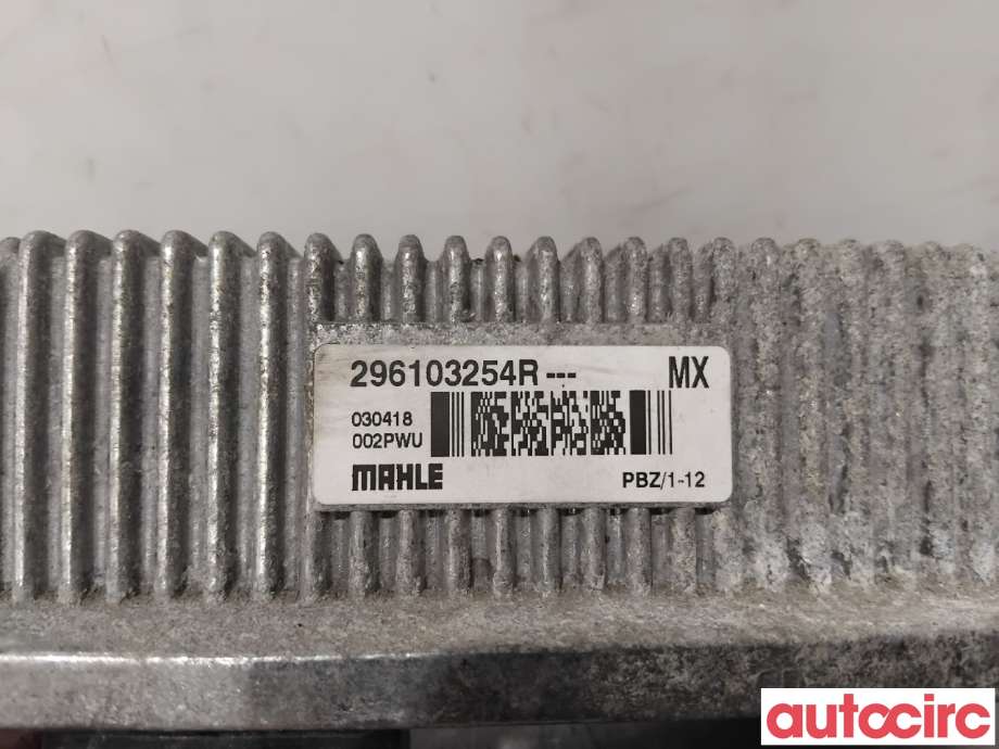 Rele diverse til Renault Zoe 2013-2019 (Fase 1)  (RENAULT|296103254R|PBZ1-12)