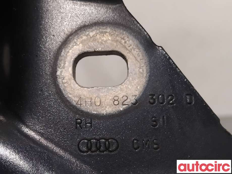 Panserhengsler til Audi A8 2010-2013 (Type III, Fase 1)  (AUDI|4H0823302D||4H0823302L)