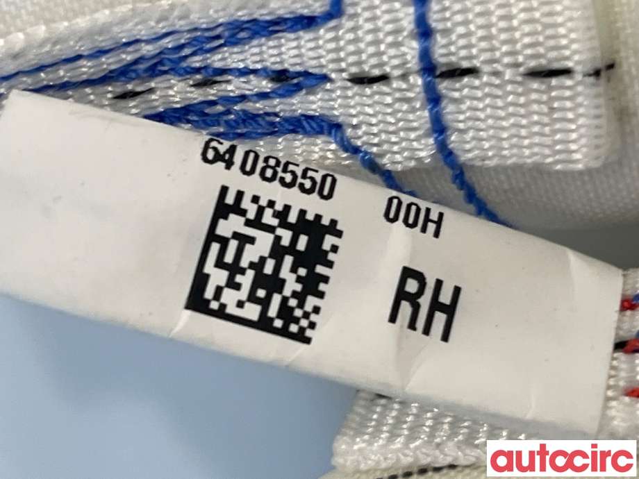 Airbag gardin høyre til Tesla Model 3 2018-2023 (Fase 1)  (TESLA|1077828-CN-F)