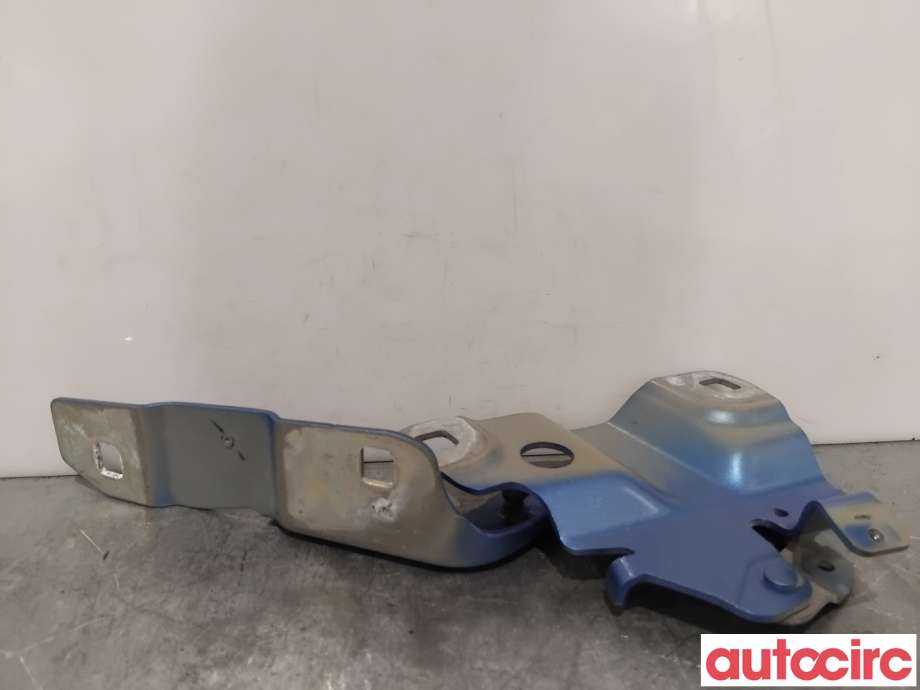 Panserhengsler til Renault Zoe 2013-2019 (Fase 1)  (RENAULT|654015966R||654018609R)