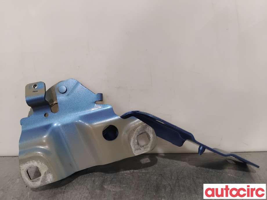 Panserhengsler til Renault Zoe 2013-2019 (Fase 1)  (RENAULT|654015966R||654018609R)