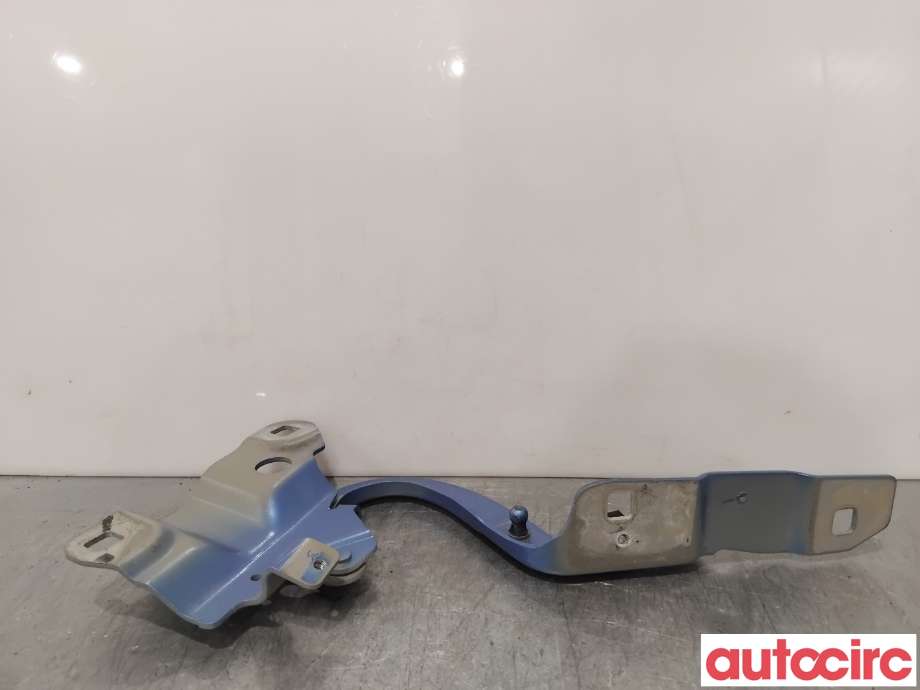 Panserhengsler til Renault Zoe 2013-2019 (Fase 1)  (RENAULT|654004793R||654009955R)