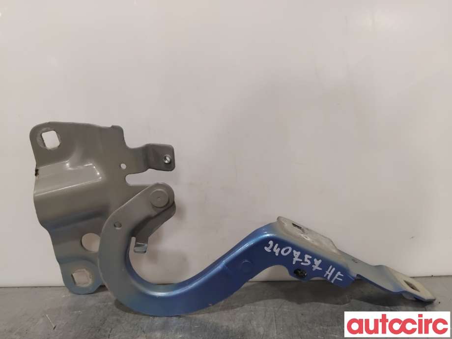 Panserhengsler til Renault Zoe 2013-2019 (Fase 1)  (RENAULT|654004793R||654009955R)