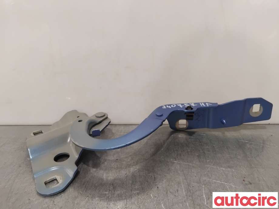 Panserhengsler til Renault Zoe 2013-2019 (Fase 1)  (RENAULT|654004793R||654009955R)