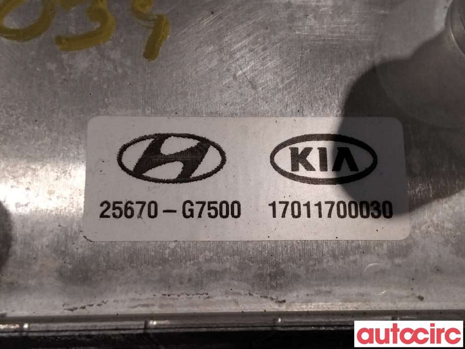 Varmeapparat diverse til Hyundai Ioniq Electric 2019-->> (Fase 2)  (HYUNDAI|25671G7500||25670-G7500)